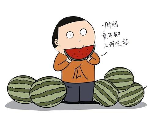 吃瓜群众的英文